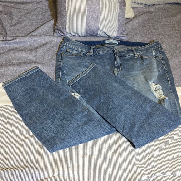 torrid Denim - Torrid Extra Short Jegging